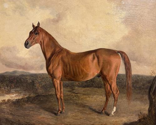 A brown horse with a white mark on its hind leg stands on a grassy landscape under a cloudy sky in a classic-style painting, evoking the spirit of Racing at the Dawn of the United States.