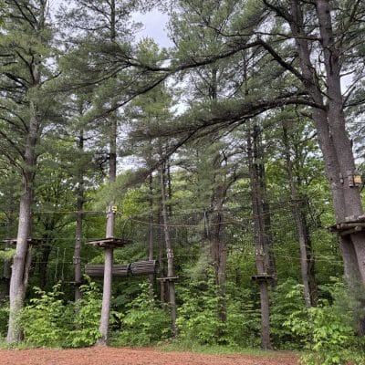 A ropes course is set up among tall pine trees in a forest, featuring wooden platforms, netting, and a suspended tunnel, with green foliage and woodchip-covered ground below.