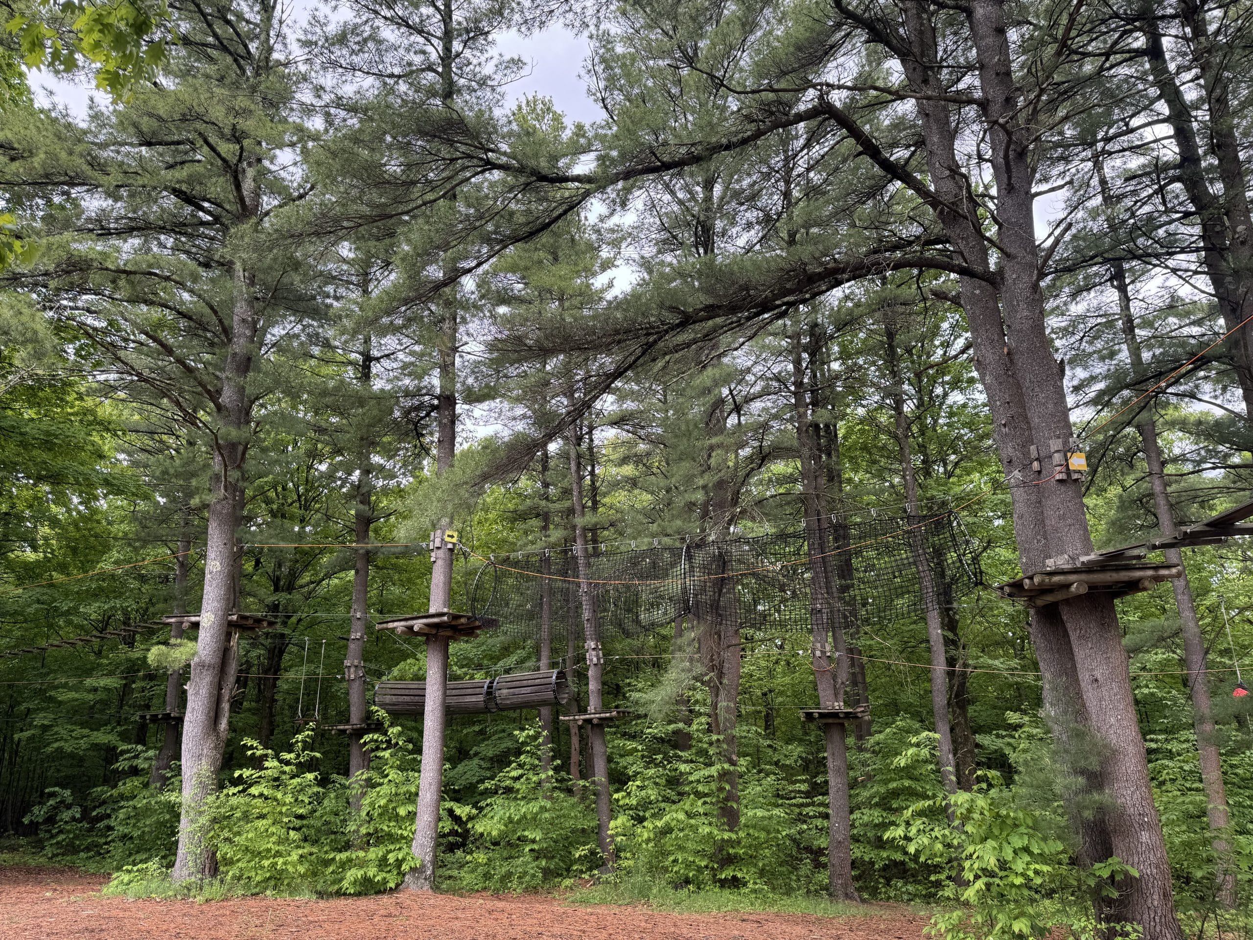 A ropes course is set up among tall pine trees in a forest, featuring wooden platforms, netting, and a suspended tunnel, with green foliage and woodchip-covered ground below.
