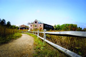 The Albany Pine Bush Preserve