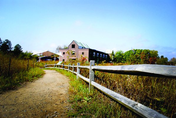 A dirt path runs alongside a wooden fence toward a brown building, surrounded by tall grass and trees under a clear blue sky.