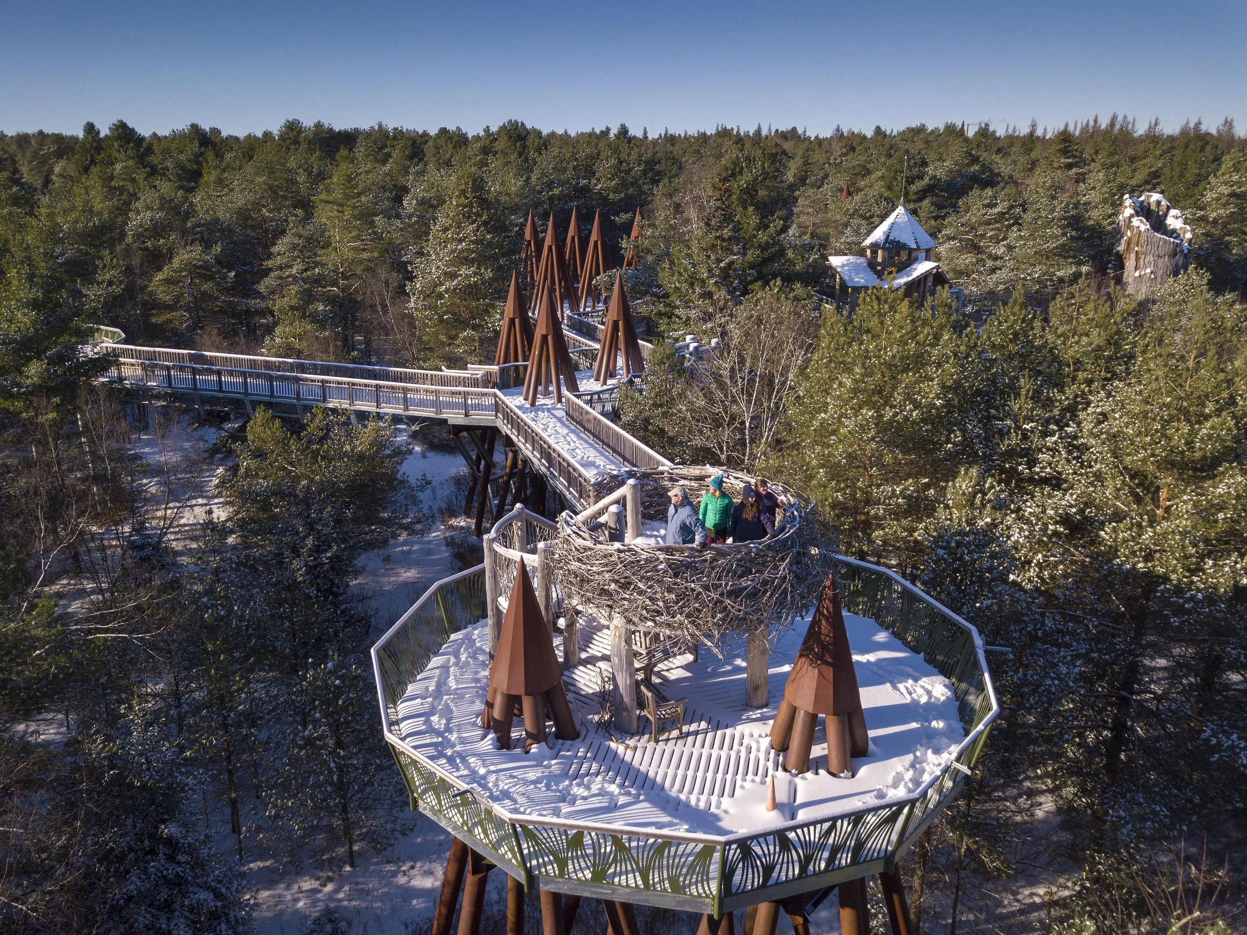 Aerial view of people standing on a snowy treetop observation deck at The Wild Center, surrounded by tall pine trees, with walkways and pointed rooftops in a wintry forest setting.