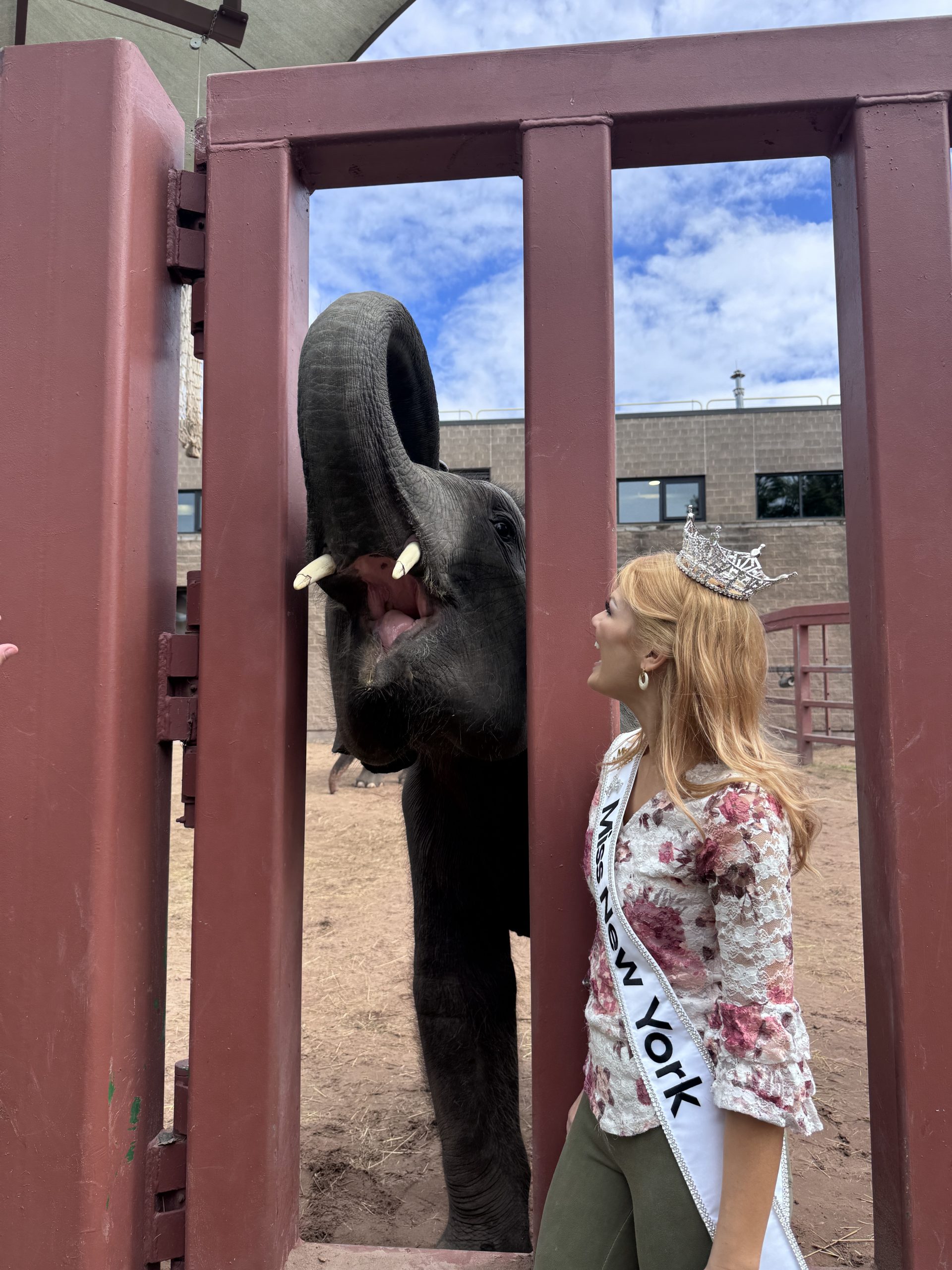 A woman wearing a Miss New York sash and a crown smiles at an elephant raising its trunk behind a red fence at a zoo on a sunny day, just moments before her appearance at Onondaga Lake State Park.