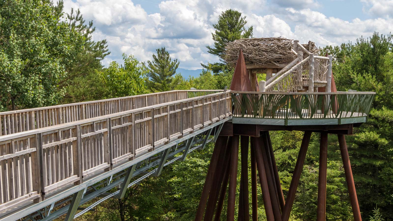A wooden walkway on stilts leads to a structure resembling a giant bird’s nest, surrounded by trees and greenery under a partly cloudy sky at The Wild Center.