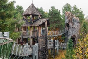 The Wild Center The Wild Center