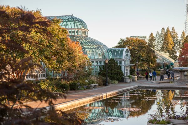 A glass conservatory surrounded by trees with autumn foliage, reflected in a pond near the Schenectady Rose Garden. Several people walk on a path nearby under a clear sky.