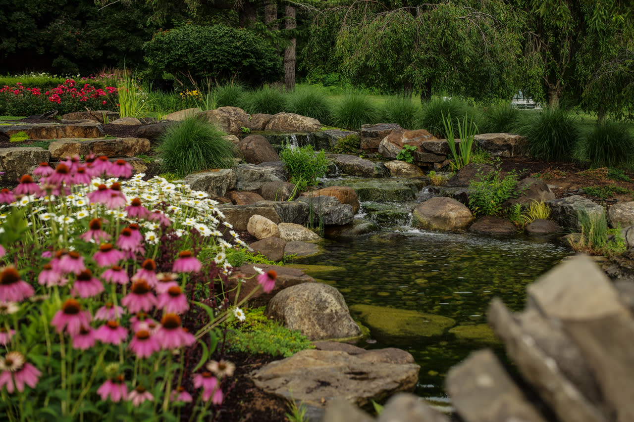 A small waterfall flows over rocks into a pond, surrounded by lush green plants, bright pink coneflowers, and white daisies in a vibrant garden landscape inspired by The Wild Center.