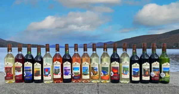 Seventeen bottles of assorted wine from Fly Creek Cider Mill & Orchard are lined up on a stone surface outdoors, with a scenic lake and mountains in the background under a partly cloudy sky.