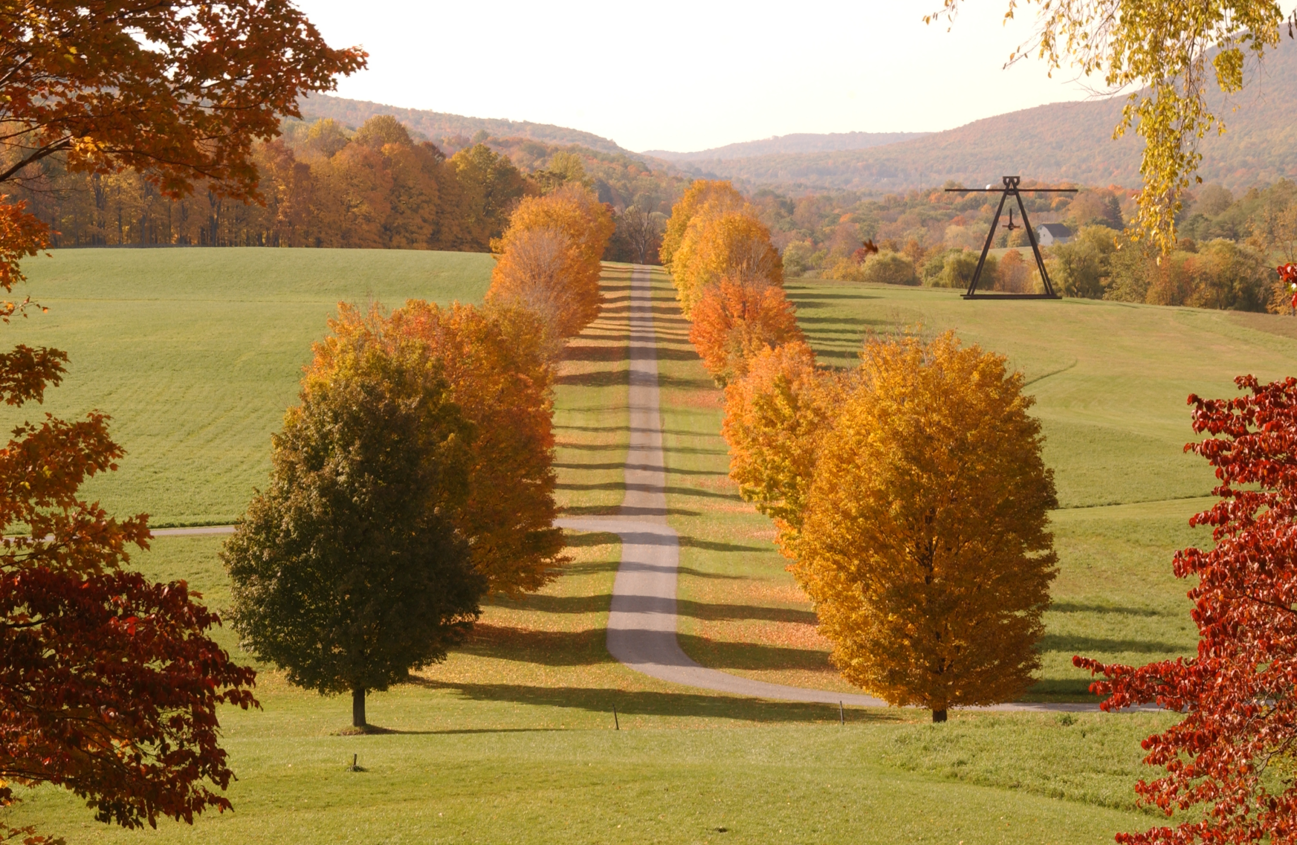 A long, straight driveway leads through a rolling landscape of the Adirondack Craft Beverage Trail, lined with autumn trees in shades of orange and yellow.